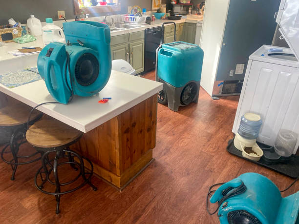 Water damage restoration mold remediation in South Pekin, IL