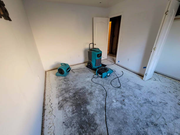 Best Residential water damage restoration  in South Pekin, IL