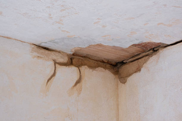 Best Water damage restoration process  in South Pekin, IL