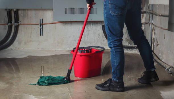 Best Flood restoration services  in South Pekin, IL
