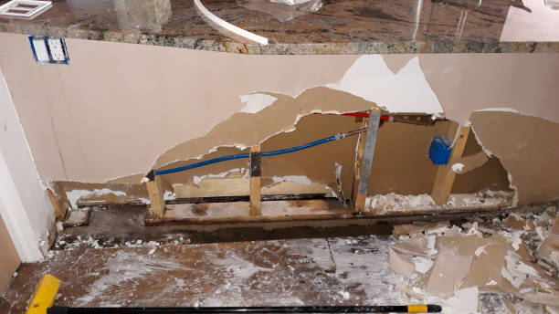Best Water damage contractors near me  in South Pekin, IL